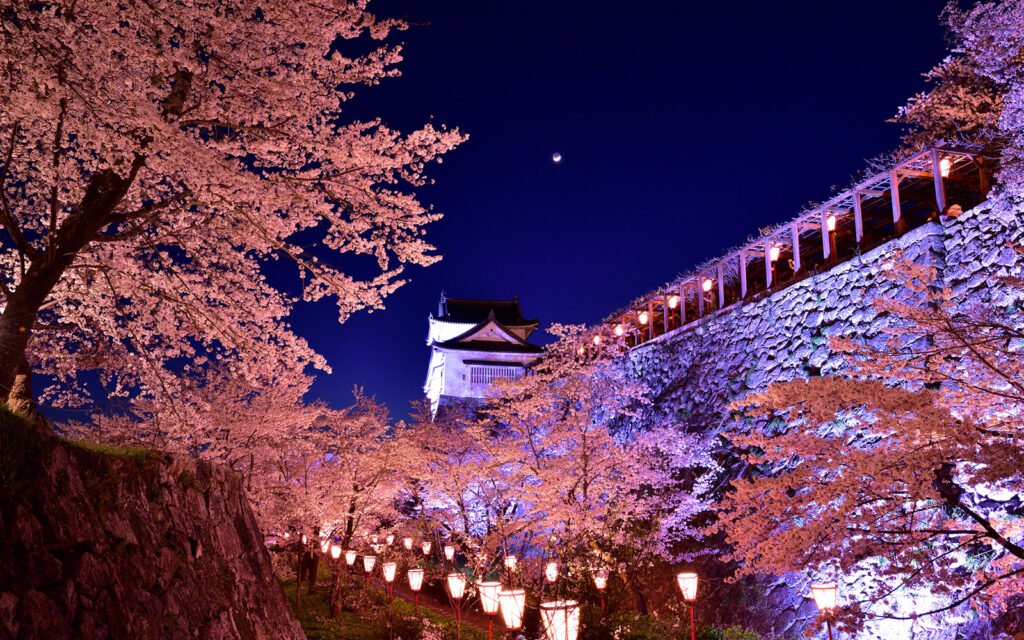 🏯 쓰야마 성(가쿠잔 공원) 이미지 9